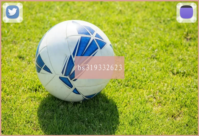 bs319332623