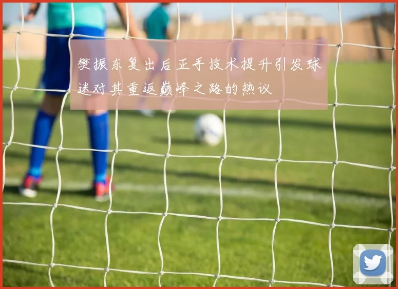 樊振东复出后正手技术提升引发球迷对其重返巅峰之路的热议